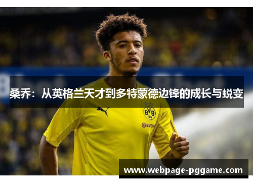 桑乔：从英格兰天才到多特蒙德边锋的成长与蜕变