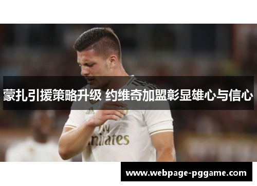 蒙扎引援策略升级 约维奇加盟彰显雄心与信心